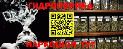 соль ск Славгород