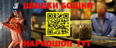 стаф Сланцы