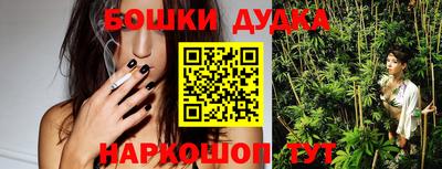 стаф Сланцы