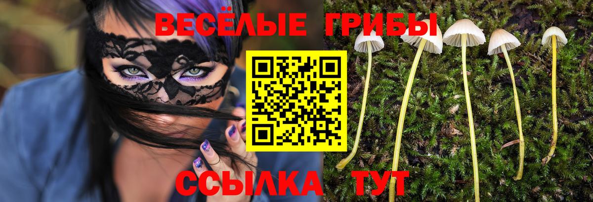 Прохладный  Псилоцибиновые грибы Magic Shrooms  Вход с VPN 